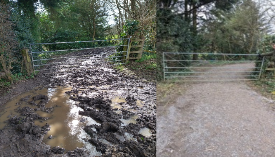Next Zoom: Piddle footpath